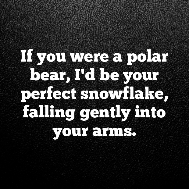 Polar Pick Up Lines-nQILP7