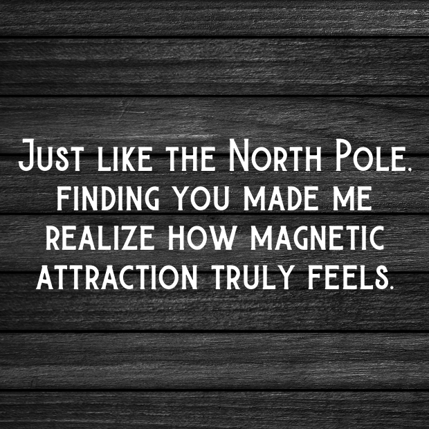 Polar Pick Up Lines-sp1ZTN