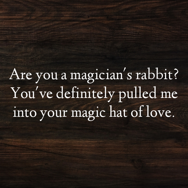 Rabbit Pick Up Lines-U9EcfU