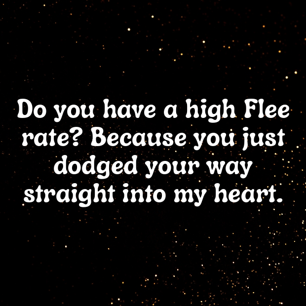 Ragnarok Online Pick Up Lines-NY6MK0