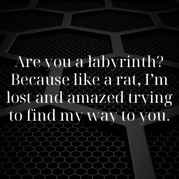 Rat Pick Up Lines-5bk3v2