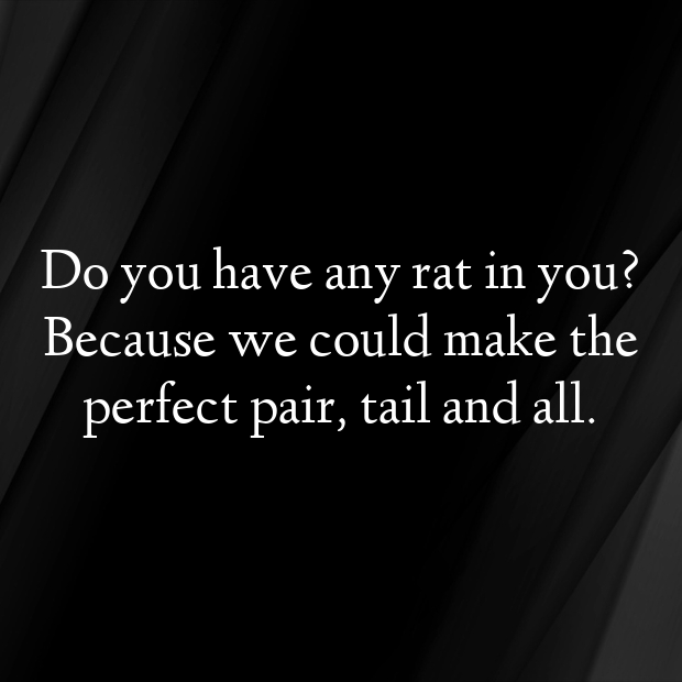 Rat Pick Up Lines-7XAtuf