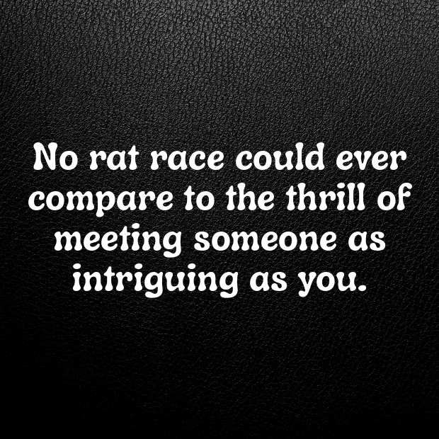 Rat Pick Up Lines-xPeKRf