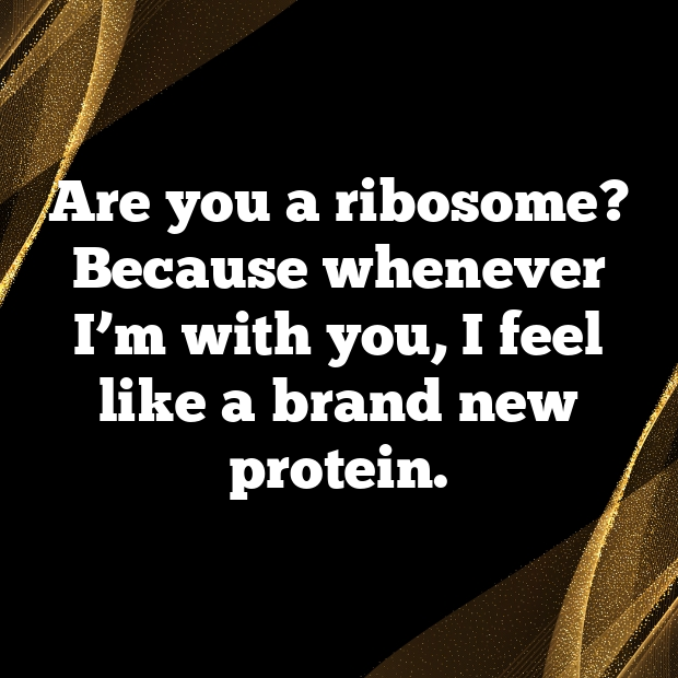 Ribosome Pick Up Lines-gmLeLT