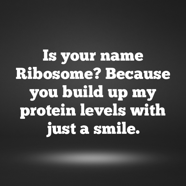 Ribosome Pick Up Lines-omZBKW