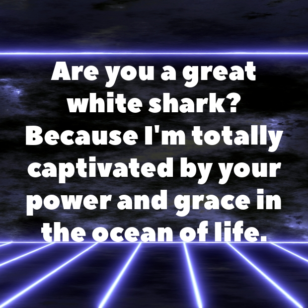 Shark Pick Up Lines-2KEgYq