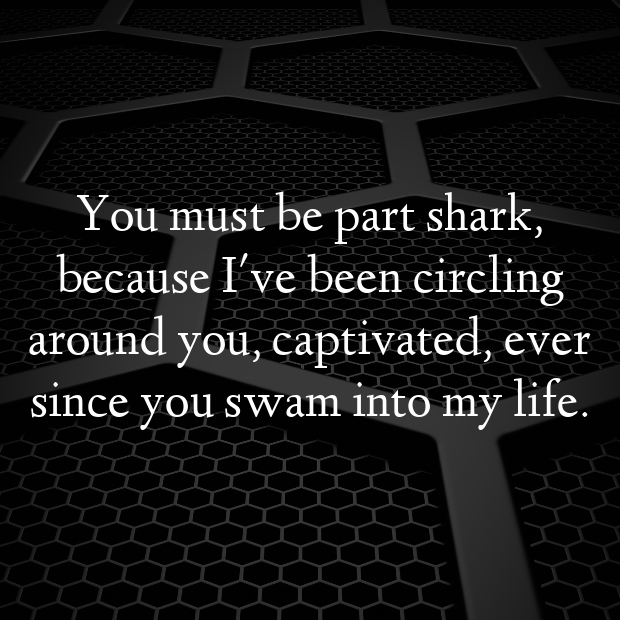 Shark Pick Up Lines-EnIj6X