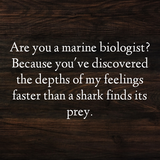 Shark Pick Up Lines-jYMIND