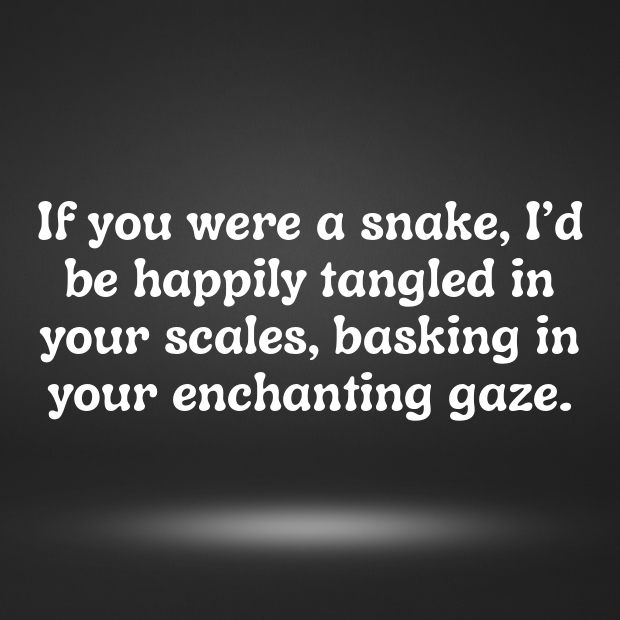 Snake Pick Up Lines-vMHGLN