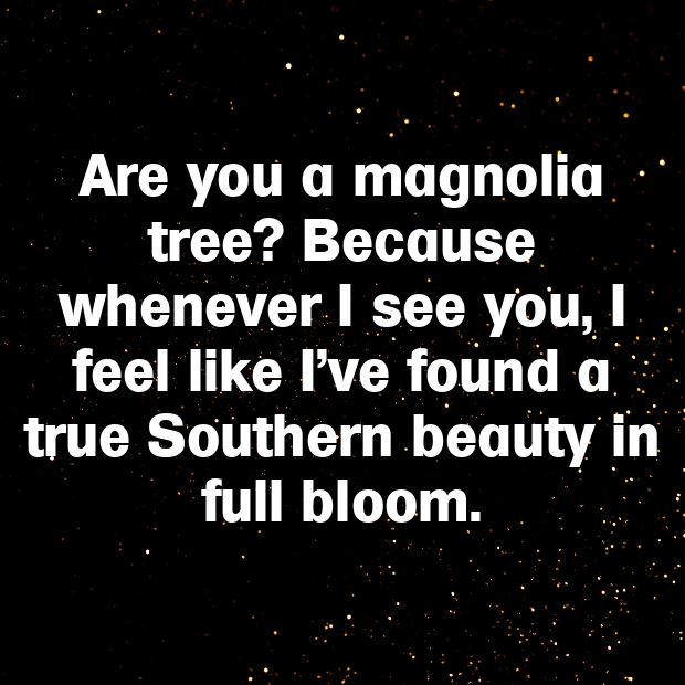 Southern Pick Up Lines-WLnUuT