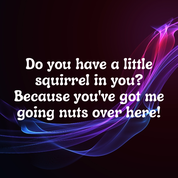 Squirrel Pick Up Lines-7MYxIM