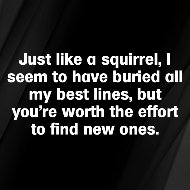 Squirrel Pick Up Lines-ChIJAt