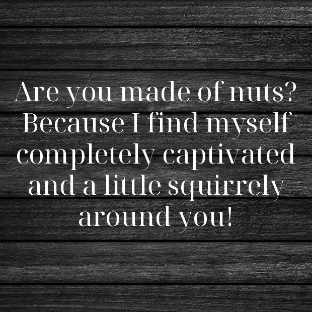 Squirrel Pick Up Lines-HGYg4a