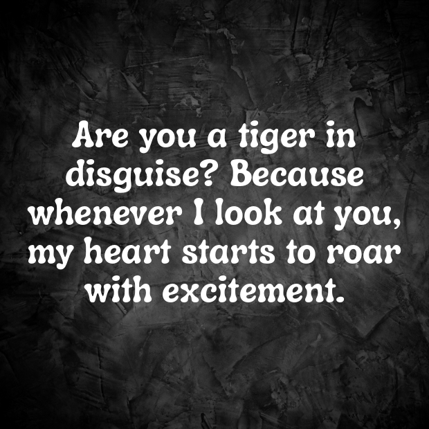 Tiger Pick Up Lines-9ugTsj