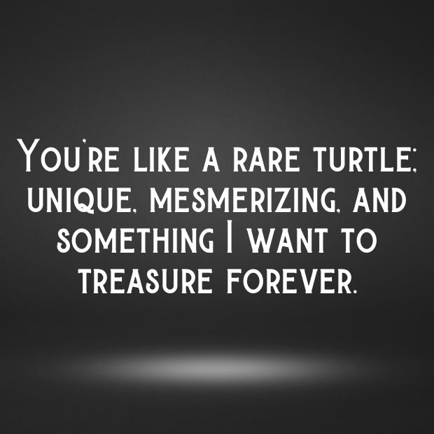 Turtle Pick Up Lines-cyjd0W