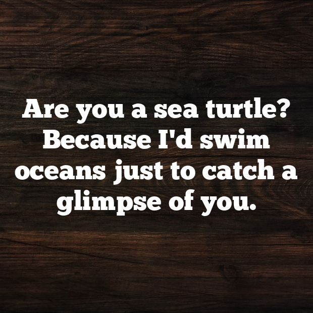 Turtle Pick Up Lines-g3mxax