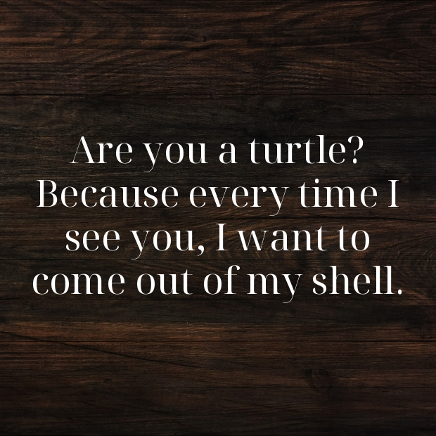 Turtle Pick Up Lines-leXkUu