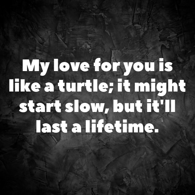 Turtle Pick Up Lines-NlwWI3