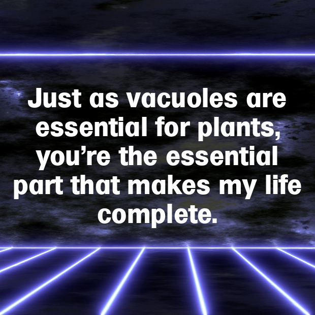 Vacuole Pick Up Lines-6hiOdj