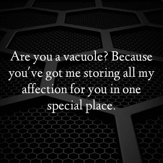 Vacuole Pick Up Lines-J2TGqT