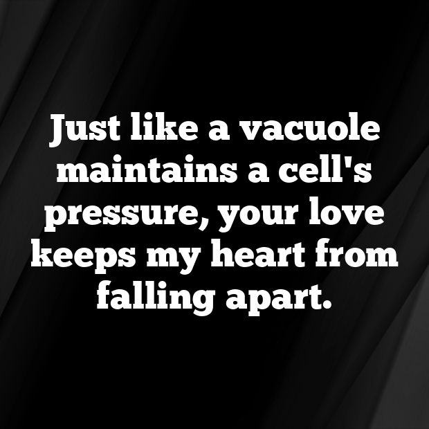 Vacuole Pick Up Lines-qluLFi