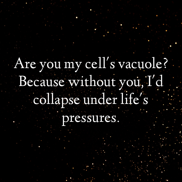 Vacuole Pick Up Lines-VImvIb