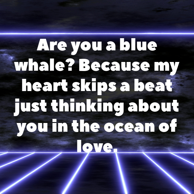 Whale Pick Up Lines-HtmwdV