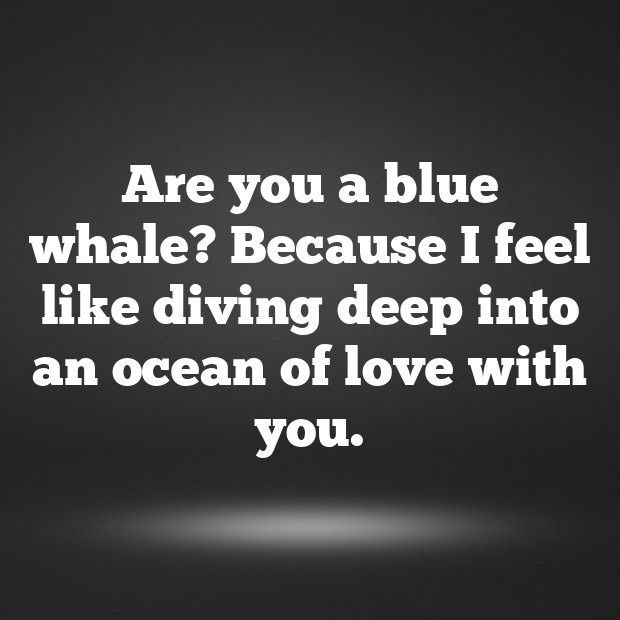 Whale Pick Up Lines-tP3ED9