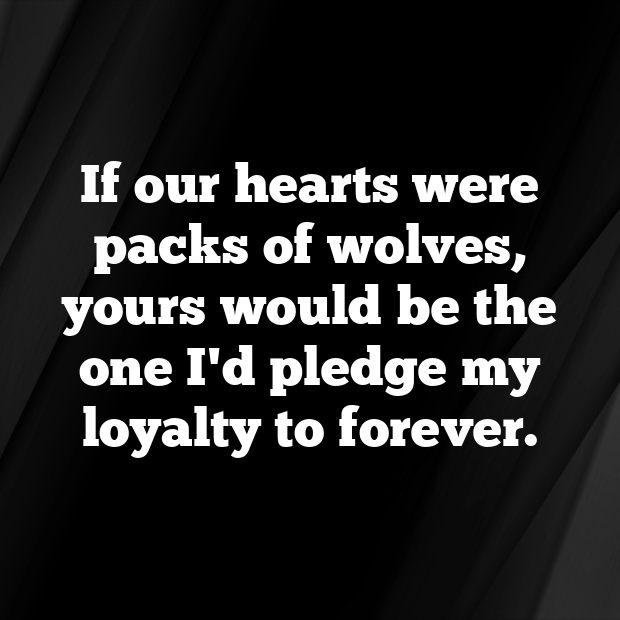 Wolf Pick Up Lines-HUEj97