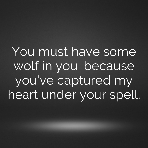 Wolf Pick Up Lines-iAFDtM